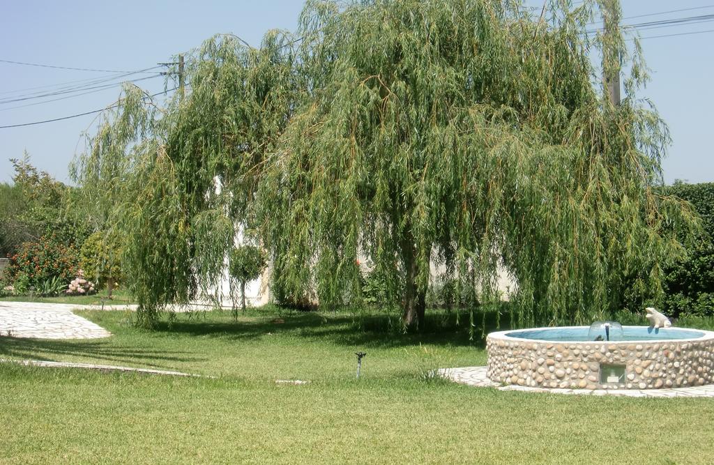 Quinta Da Harmonia Apartment Azeitao Bagian luar foto