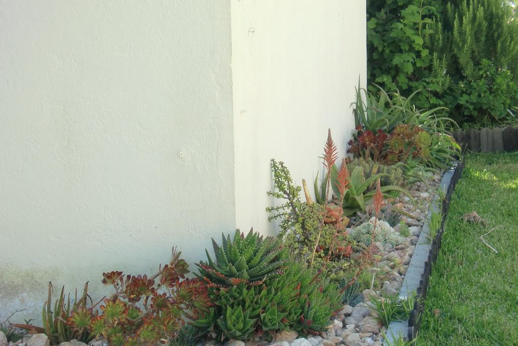 Quinta Da Harmonia Apartment Azeitao Bagian luar foto